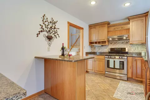 905 E Alder Ln, Mount Prospect, IL 60056 photo 9