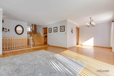 905 E Alder Ln, Mount Prospect, IL 60056 photo 12