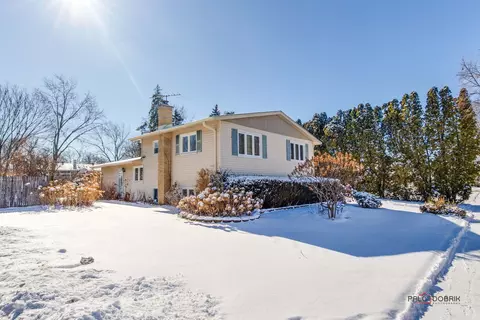 905 E Alder Ln, Mount Prospect, IL 60056 photo 3