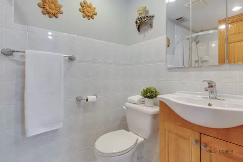 905 E Alder Ln, Mount Prospect, IL 60056 photo 27