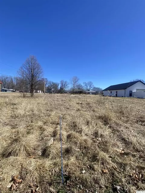 1711 E 1324th #LOT 4, Fowler, IL 62338