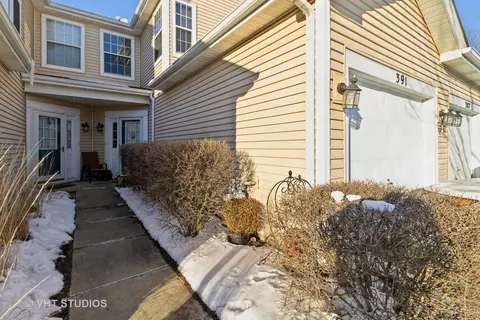 391 Fallbrook Ct, Schaumburg, IL 60194
