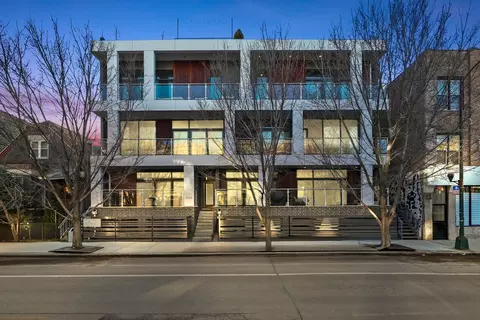1046 N Damen Ave #2S, Chicago, IL 60622