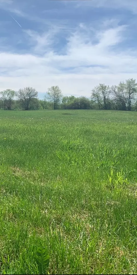 Other - 91141 Melugins, Compton, IL 61318 photo 15 of 17