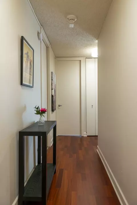 30 E Huron St #3407, Chicago, IL 60611 photo 3