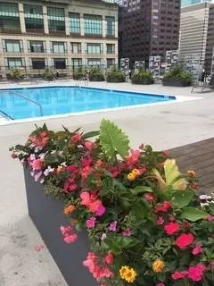 30 E Huron St #3407, Chicago, IL 60611 photo 19