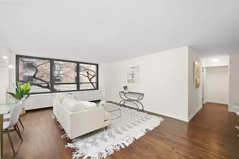 222 E Pearson St #201, Chicago, IL 60611 photo 6