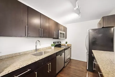 222 E Pearson St #201, Chicago, IL 60611 photo 9