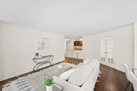 222 E Pearson St #201, Chicago, IL 60611 photo 4