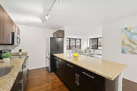 222 E Pearson St #201, Chicago, IL 60611 photo 2