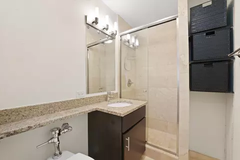 222 E Pearson St #201, Chicago, IL 60611 photo 14