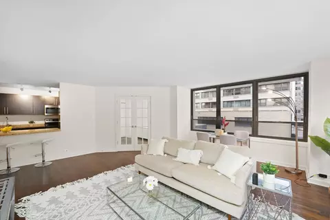 222 E Pearson St #201, Chicago, IL 60611 photo 7