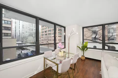 222 E Pearson St #201, Chicago, IL 60611 photo 8