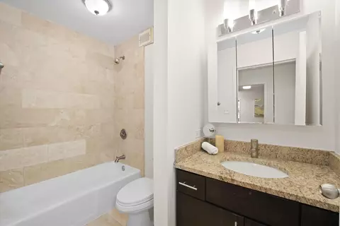 222 E Pearson St #201, Chicago, IL 60611 photo 11