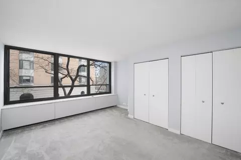 222 E Pearson St #201, Chicago, IL 60611 photo 13