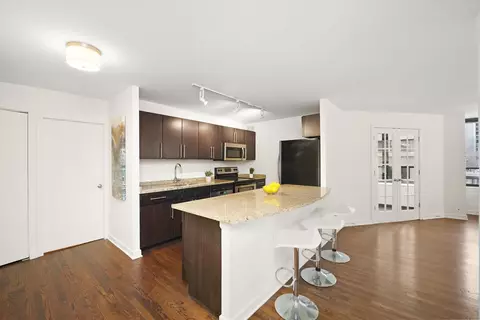 222 E Pearson St #201, Chicago, IL 60611 photo 5