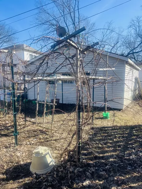 Exterior - 1224 White St, Des Plaines, IL 60018 photo 5 of 8