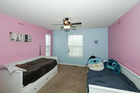 16602 Lewood Dr, Plainfield, IL 60586 photo 24