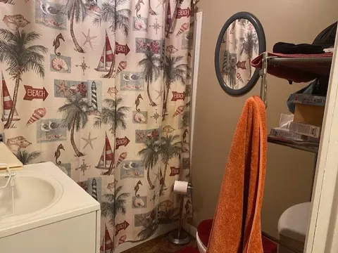 520 W Devlin St, Spring Valley, IL 61362 photo 9