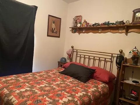 520 W Devlin St, Spring Valley, IL 61362 photo 7