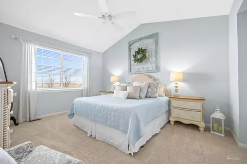 15807 Cove Cir, Plainfield, IL 60544 photo 19