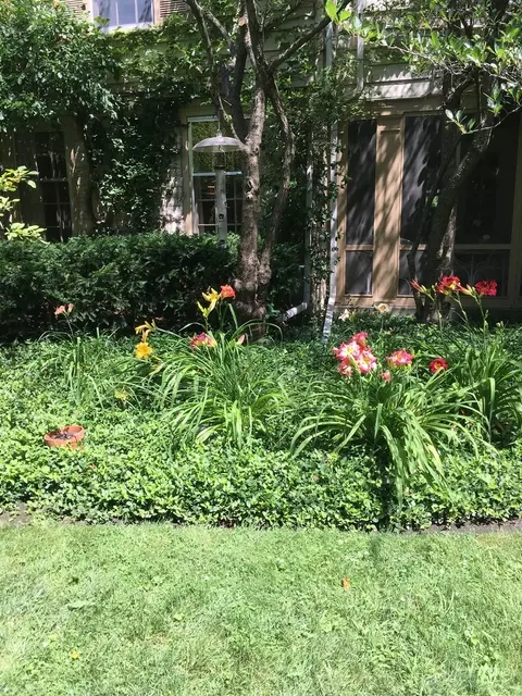 2812 Colfax St, Evanston, IL 60201 photo 43