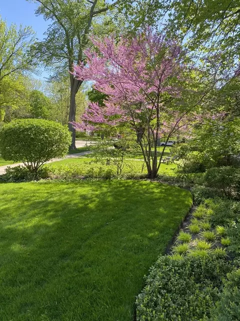 2812 Colfax St, Evanston, IL 60201 photo 44