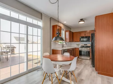 352 Snow Drop Ln, Elgin, IL 60124 photo 7