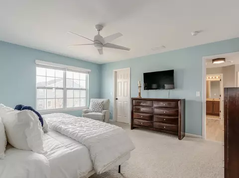 352 Snow Drop Ln, Elgin, IL 60124 photo 17