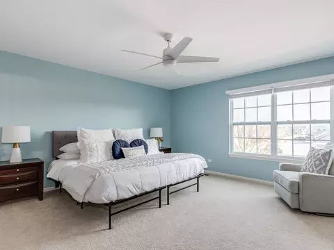 352 Snow Drop Ln, Elgin, IL 60124 photo 15
