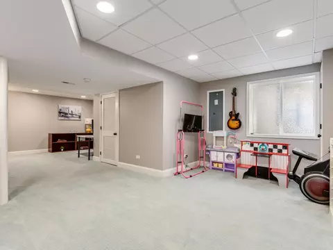 352 Snow Drop Ln, Elgin, IL 60124 photo 23