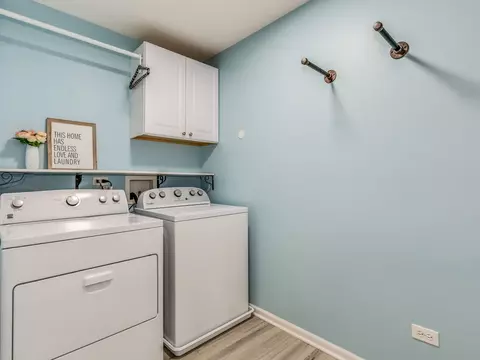 352 Snow Drop Ln, Elgin, IL 60124 photo 26