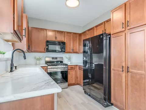 352 Snow Drop Ln, Elgin, IL 60124 photo 8