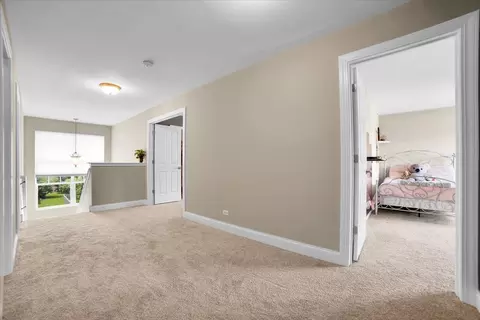 Entry Way - 26619 Silverleaf Dr, Plainfield, IL 60585 photo 2 of 3