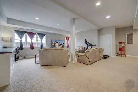 12708 Wild Rye Ct, Plainfield, IL 60585 photo 39