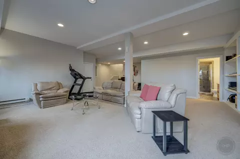 12708 Wild Rye Ct, Plainfield, IL 60585 photo 38