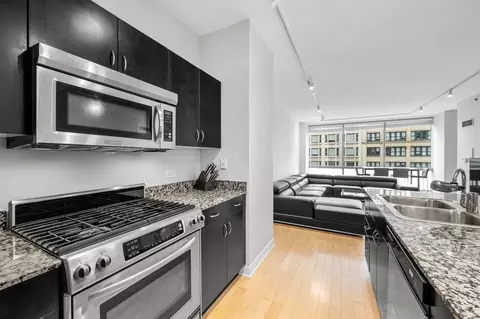 Kitchen - 8 E Randolph St #1006, Chicago, IL 60601 photo 3 of 3