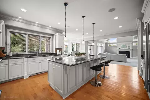 Kitchen - 8744 Johnston Rd, Burr Ridge, IL 60527 photo 3 of 7