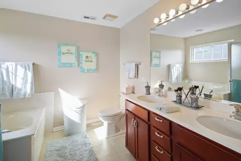 Bath - 748 Lambert Ln, Bartlett, IL 60103 photo 2 of 3