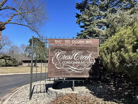 1053 W Ogden Ave #140, Naperville, IL 60563