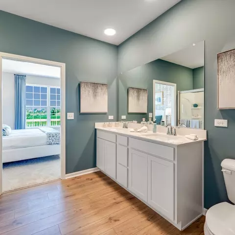 Bath - 14841 S Dyer Ln, Plainfield, IL 60544 photo 2 of 3
