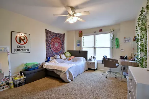 781 Hayrack Dr, Algonquin, IL 60102 photo 26