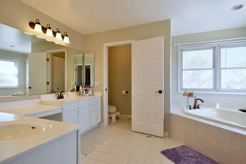 781 Hayrack Dr, Algonquin, IL 60102 photo 23