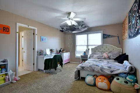 781 Hayrack Dr, Algonquin, IL 60102 photo 28