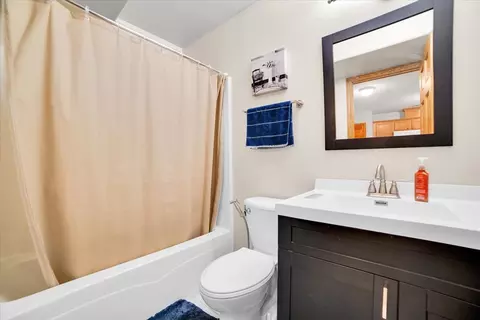 Bath - 32 E Hattendorf Ave #1B, Roselle, IL 60172 photo 3 of 4