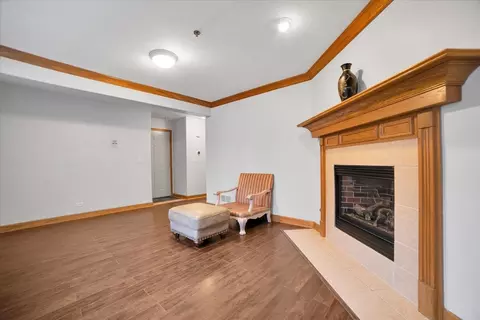 Living - 32 E Hattendorf Ave #1B, Roselle, IL 60172 photo 3 of 4