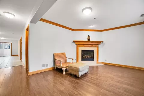 Living - 32 E Hattendorf Ave #1B, Roselle, IL 60172 photo 4 of 4