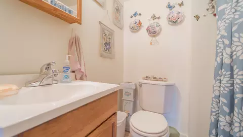 Bath - 209 S Williams St, Thornton, IL 60476 photo 2 of 4