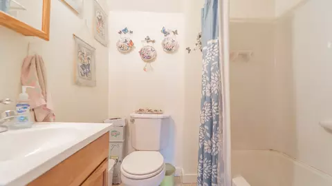Bath - 209 S Williams St, Thornton, IL 60476 photo 1 of 4