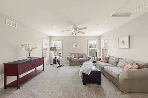13008 Silverleaf Ct, Plainfield, IL 60585 photo 32